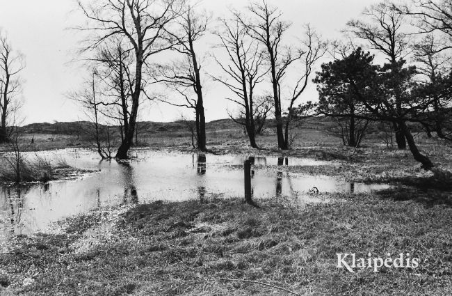 pavadinimas: Melnragės pajūryje 1988 pavasarį, raktai: Melnragė